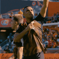 Mauro Manotas Goal GIF by Houston Dynamo