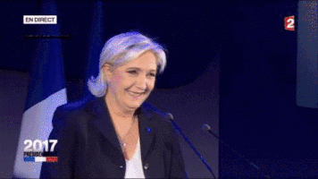 marine le pen GIF by franceinfo