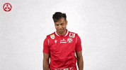Celebration Goal GIF by grazerak