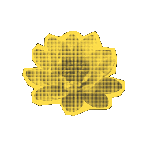 Mothers Day Flower Sticker by CDL_SM