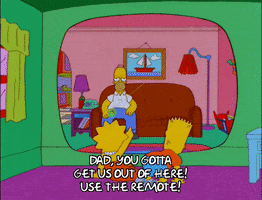 homer simpson GIF