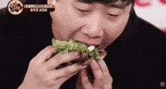 돼지 Eat GIF