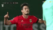 Celebrate Sl Benfica GIF by Sport Lisboa e Benfica