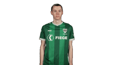 Preußen Münster Football Sticker by Bundesliga