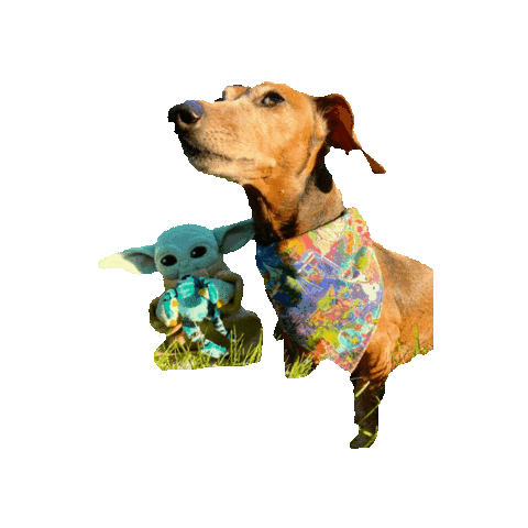 Disney Star Wars Baby Yoda Sticker by Geekster Pets
