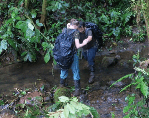 eia1 giphygifmaker GIF