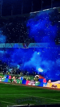 Mehdibadem blue red taj persepolis GIF