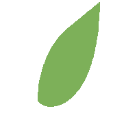 Green Leaf Sticker by Cadentia