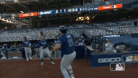 Major League Baseball Sport GIF by MLB