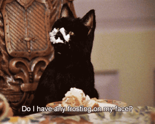 sabrina the teenage witch GIF