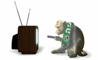 GIF by Guy Trefler