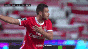 Sl Benfica Slbgif GIF by Sport Lisboa e Benfica