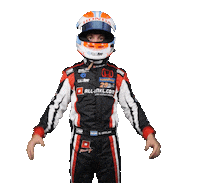 Honda Nestor Sticker by FIA World Touring Car Cup