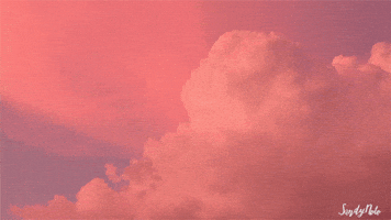 Typography Joy GIF by Adventures Once Had