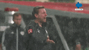 Bayern Munchen Bundesliga GIF by MolaTV