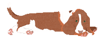 Sleepy Dog Sticker by Ellis D