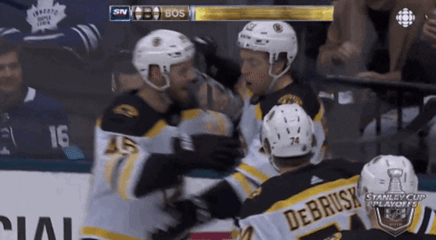 ice hockey hug GIF by NHL