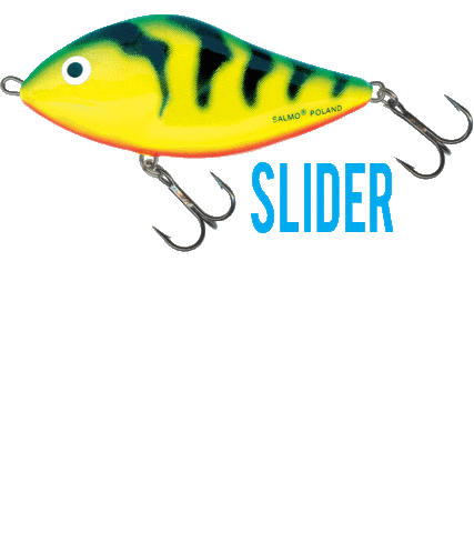 Slider Lure Sticker by FoxInt