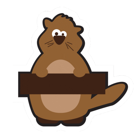 employer-branding-allegro giphyupload allegro allegrodobrzetubyć dobrzetubyć Sticker