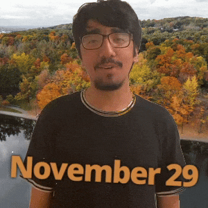 November 29