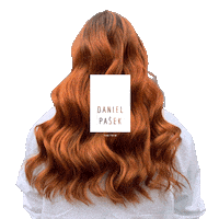thetrim hairdresser hairstylist thetrim danielpasek Sticker