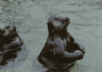 Vintage Swimming GIF by US National Archives