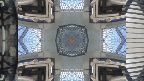 Art Video GIF by jorgemariozuleta