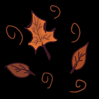WinterFaye fall aesthetic autumn leaves GIF