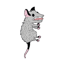 LaGerardo naturaleza opossum fauna marsupial Sticker