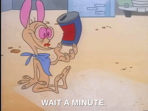ren and stimpy nicksplat GIF