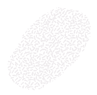 Nzm110 Sticker
