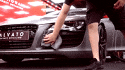 alvatoluxurydetailing alvato alvatoluxurydetailing GIF