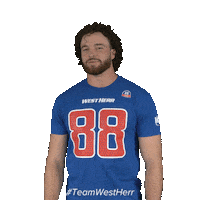 Buffalo Bills Football Sticker by West Herr