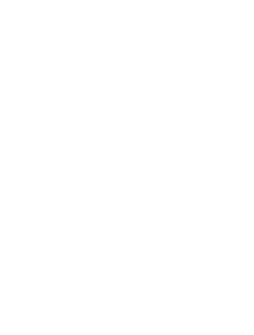 White Line Sticker