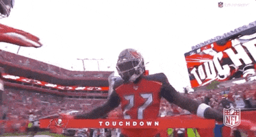 Regular Season Football GIF by NFL