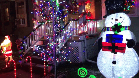 joelbannerbaird giphyupload GIF