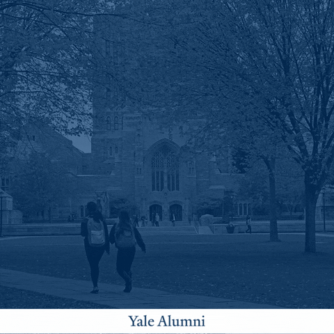 College Valentine GIF by YaleAlumni