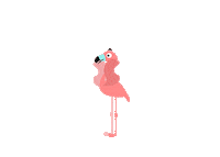 Wedding Flamingo Sticker by Tambu Klavye