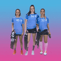 Handball Slovenia GIF by RK Krim