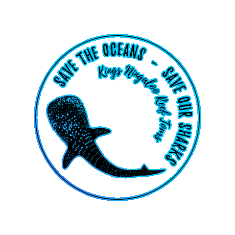 KingsNingaloo kings mantaray whaleshark exmouth Sticker