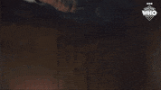David Tennant Toymaker GIF by Doctor Who
