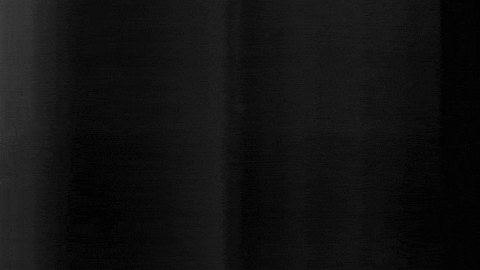 Football Sport GIF by SK Sturm Graz