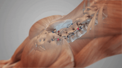 franciscosanchezcazeres giphyupload GIF