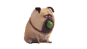 Dog Movie Sticker by The Secret Life Of Pets