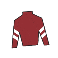 Horse Racing Sticker by Kentucky Derby