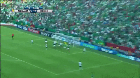 mexico goal GIF by MiSelecciónMX