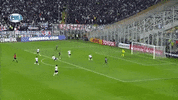 colo-colo chile GIF by SE Palmeiras