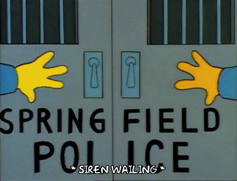 Season 1 GIF by The Simpsons