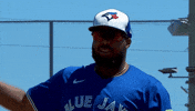 Happy Blue Jays GIF by Toronto Blue Jays