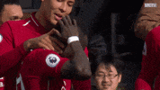 van dijk love GIF by Liverpool FC